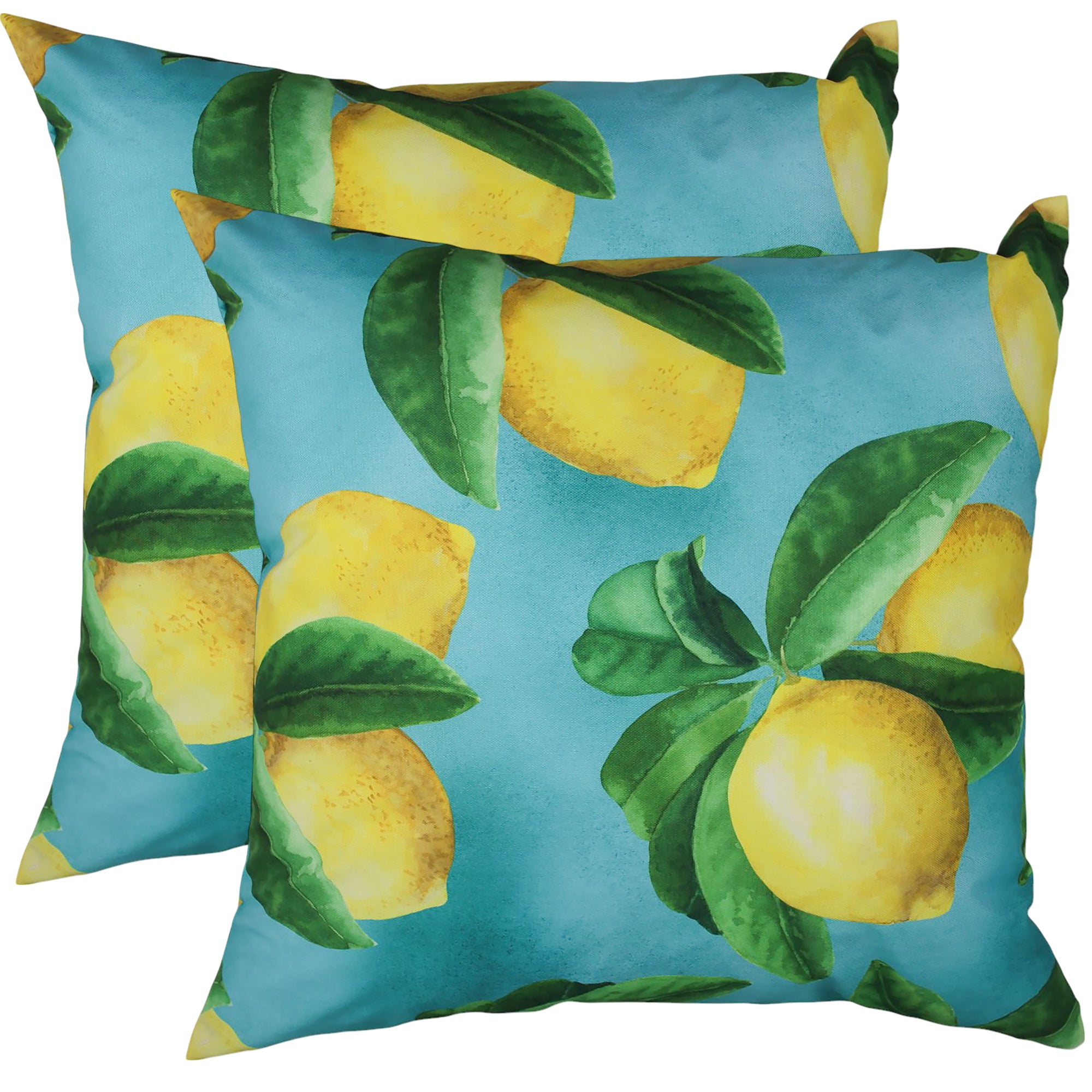 Sour Patch Outdoor Cushion 50x50