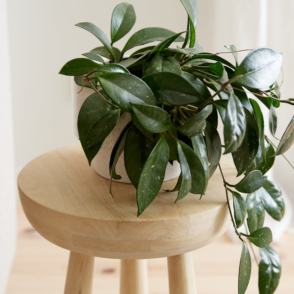 Hugo Stool Natural