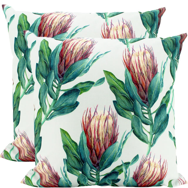 Banksia Outdoor Cushion 50x50