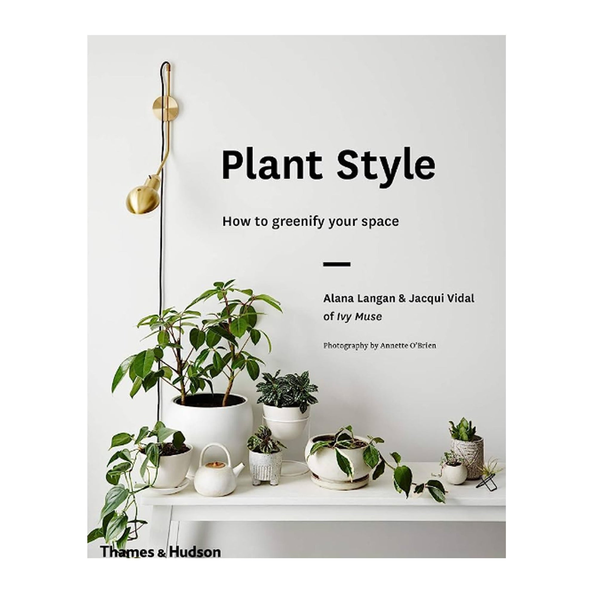 Plant Style - Olan Living