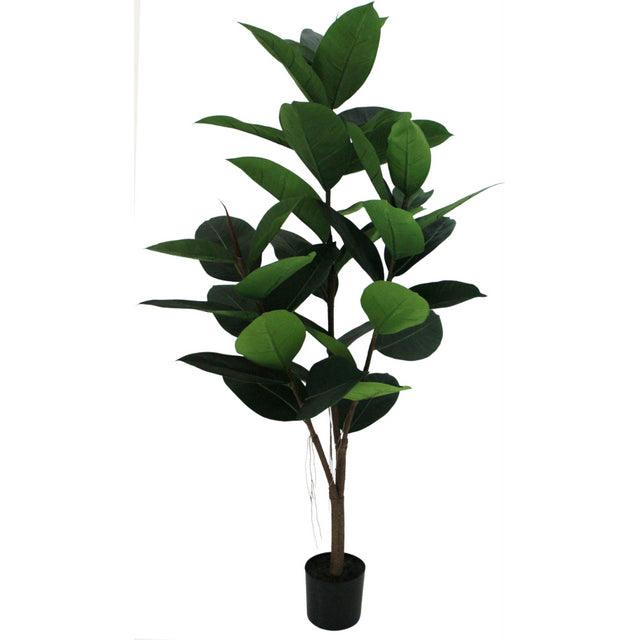 Potted Ficus Tree 121cm - Olan Living