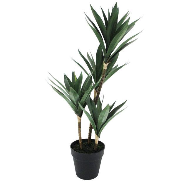 Yucca Quad Potted Tree 66cm - Olan Living