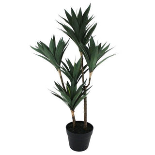 Yucca Quintet Potted Tree 78cm - Olan Living