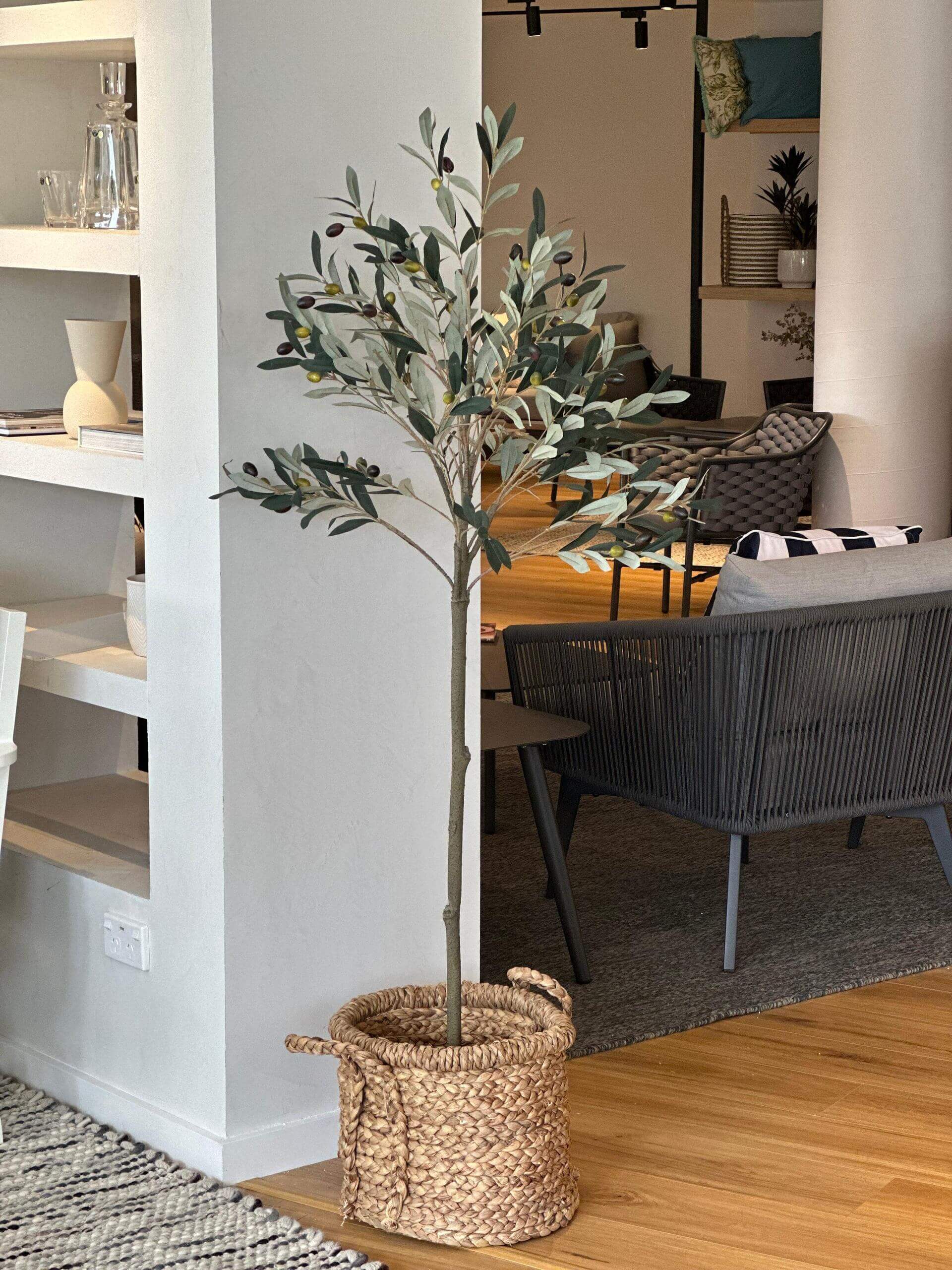 Potted Trim Olive Tree 153cm - Olan Living